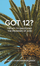 Load image into Gallery viewer, Got 12?