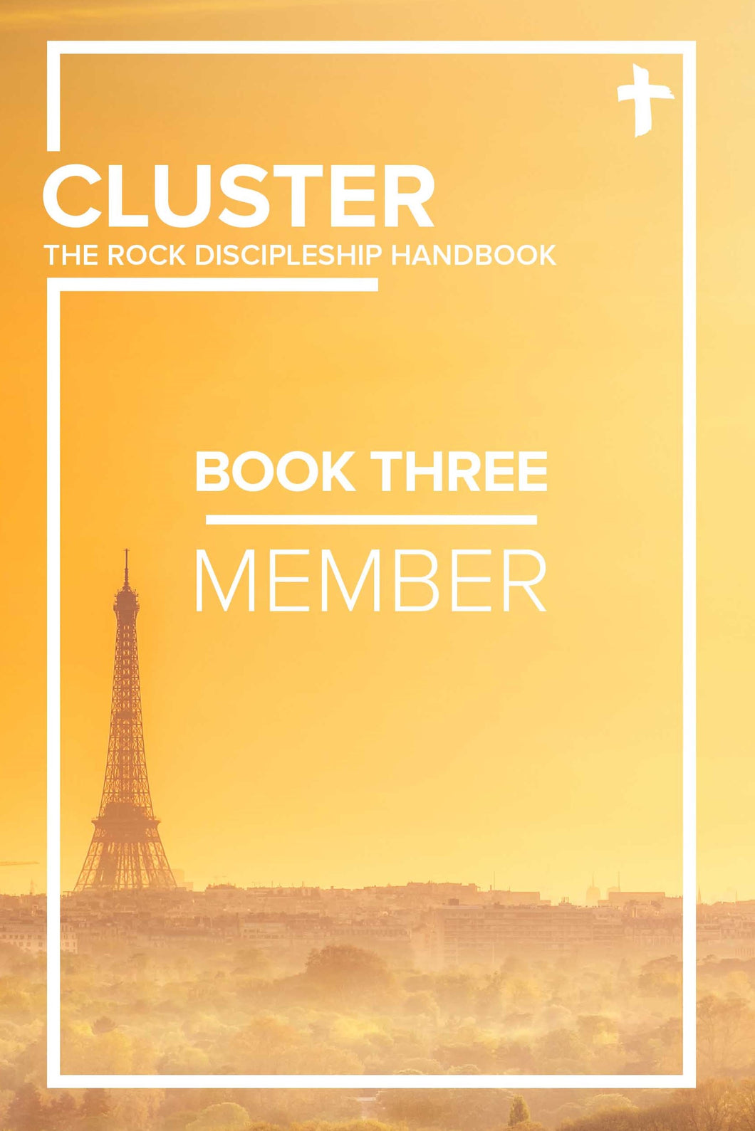 CLUSTER - Book Three: Member
